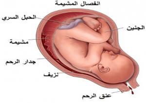 top reviewed infertility specialists in sharjah